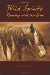 ann c-163×244 Book cover